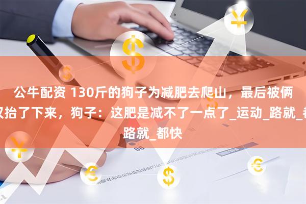 公牛配资 130斤的狗子为减肥去爬山，最后被俩大汉抬了下来，狗子：这肥是减不了一点了_运动_路就_都快
