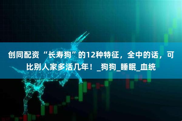创同配资 “长寿狗”的12种特征，全中的话，可比别人家多活几年！_狗狗_睡眠_血统