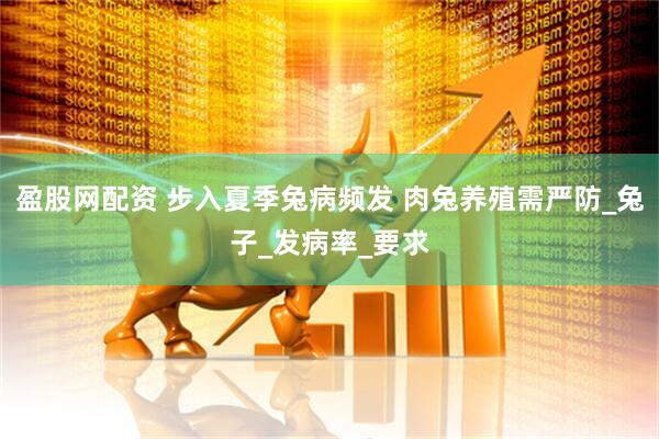 盈股网配资 步入夏季兔病频发 肉兔养殖需严防_兔子_发病率_要求