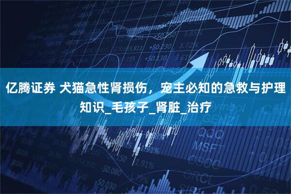 亿腾证券 犬猫急性肾损伤，宠主必知的急救与护理知识_毛孩子_肾脏_治疗
