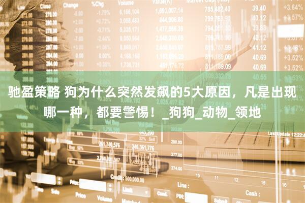 驰盈策略 狗为什么突然发飙的5大原因，凡是出现哪一种，都要警惕！_狗狗_动物_领地