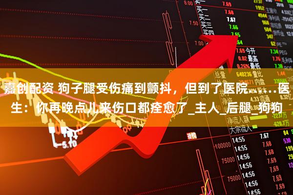 嘉创配资 狗子腿受伤痛到颤抖，但到了医院……医生：你再晚点儿来伤口都痊愈了_主人_后腿_狗狗