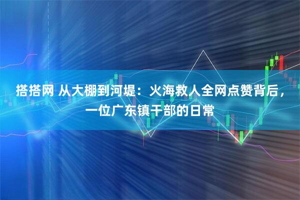 搭搭网 从大棚到河堤：火海救人全网点赞背后，一位广东镇干部的日常