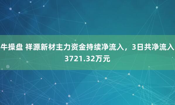 牛操盘 祥源新材主力资金持续净流入，3日共净流入3721.32万元