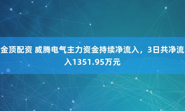 金顶配资 威腾电气主力资金持续净流入，3日共净流入1351.95万元