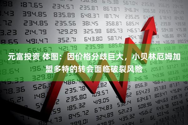 元富投资 体图：因价格分歧巨大，小贝林厄姆加盟多特的转会面临破裂风险