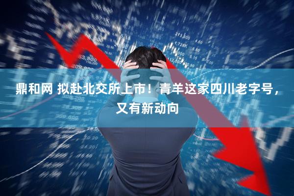 鼎和网 拟赴北交所上市！青羊这家四川老字号，又有新动向