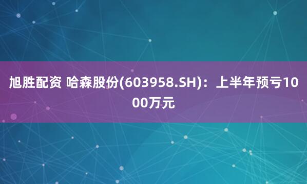 旭胜配资 哈森股份(603958.SH)：上半年预亏1000万元