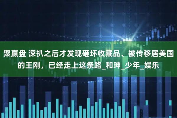 聚赢盘 深扒之后才发现砸坏收藏品、被传移居美国的王刚，已经走上这条路_和珅_少年_娱乐