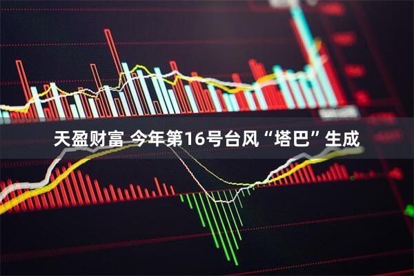 天盈财富 今年第16号台风“塔巴”生成