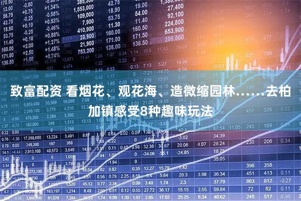 致富配资 看烟花、观花海、造微缩园林……去柏加镇感受8种趣味玩法