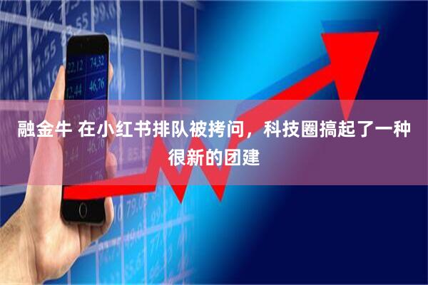 融金牛 在小红书排队被拷问,科技圈搞起了一种很新的团建