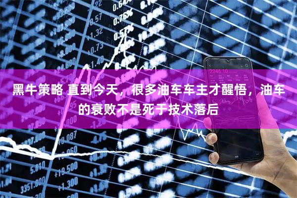 黑牛策略 直到今天，很多油车车主才醒悟，油车的衰败不是死于技术落后